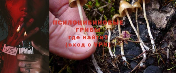 apvp Билибино