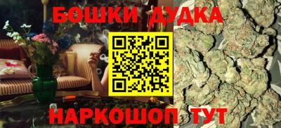 СК Дубна