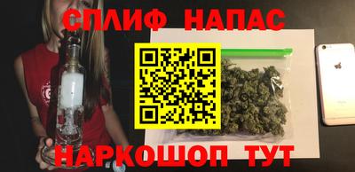 СК Дубна