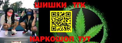 СК Дубна