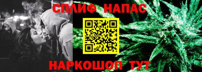 СК Дубна