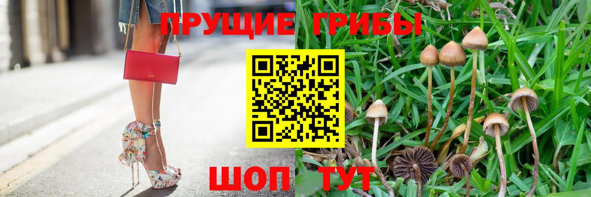 Галлюциногенные грибы MAGIC MUSHROOMS  Псилоцибиновые грибы Cubensis  Лиски  даркнет сайт  Вход с VPN 
